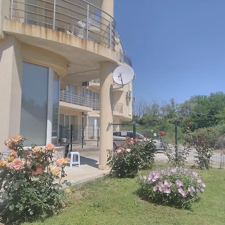 Sunny House Studio *